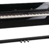 roland-dp-90s-pe