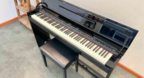 roland-dp-90s-pe-