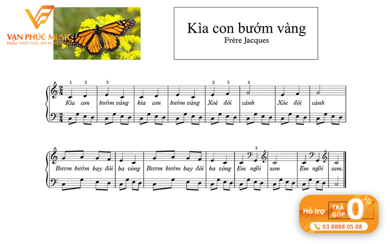 kia-con-buom-vang