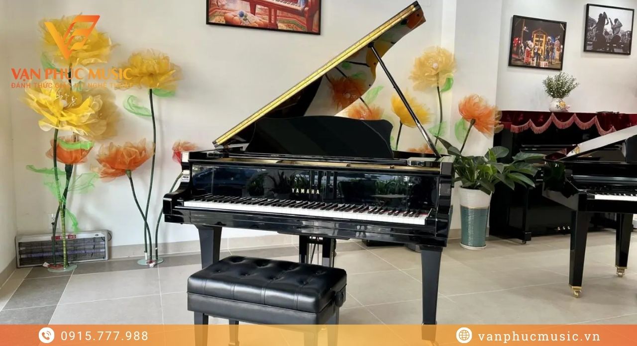 YAMAHA G3E đã qua sử dụng