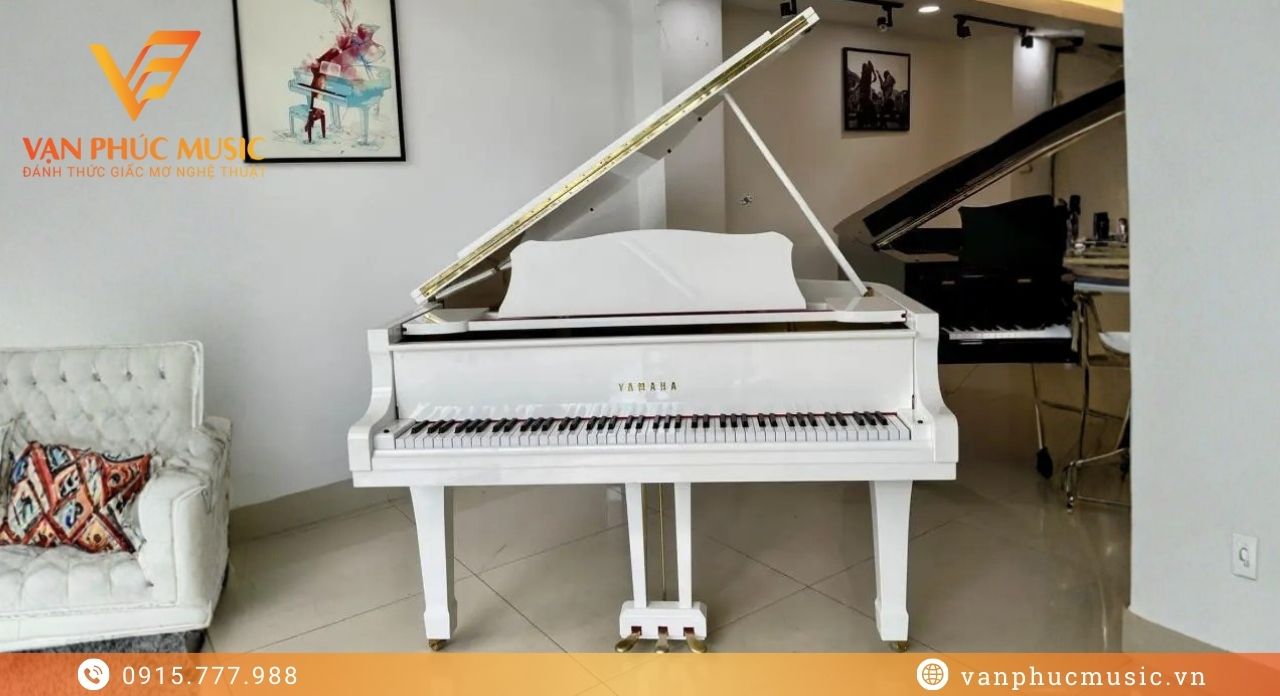 YAMAHA G3E trắng bóng
