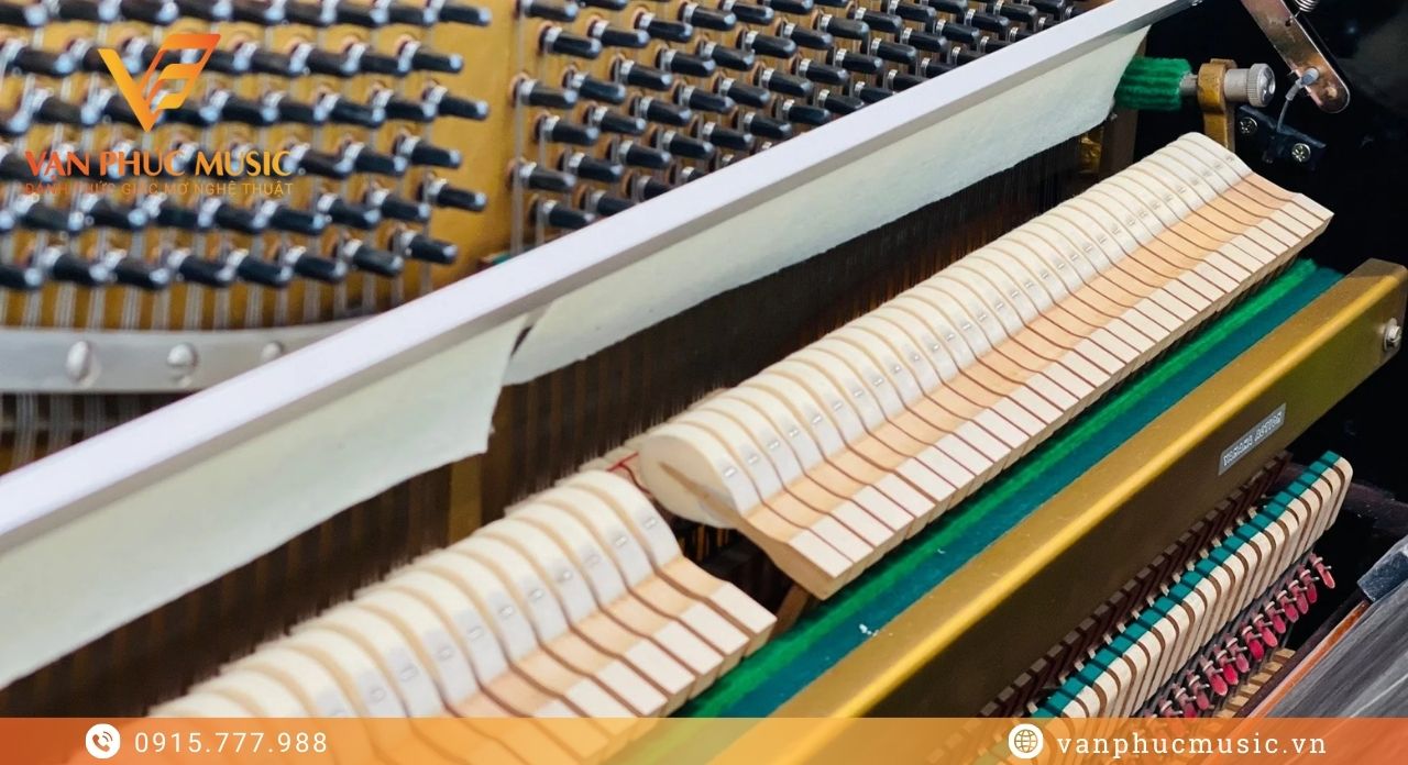 Yamaha U1D Nhật Bản