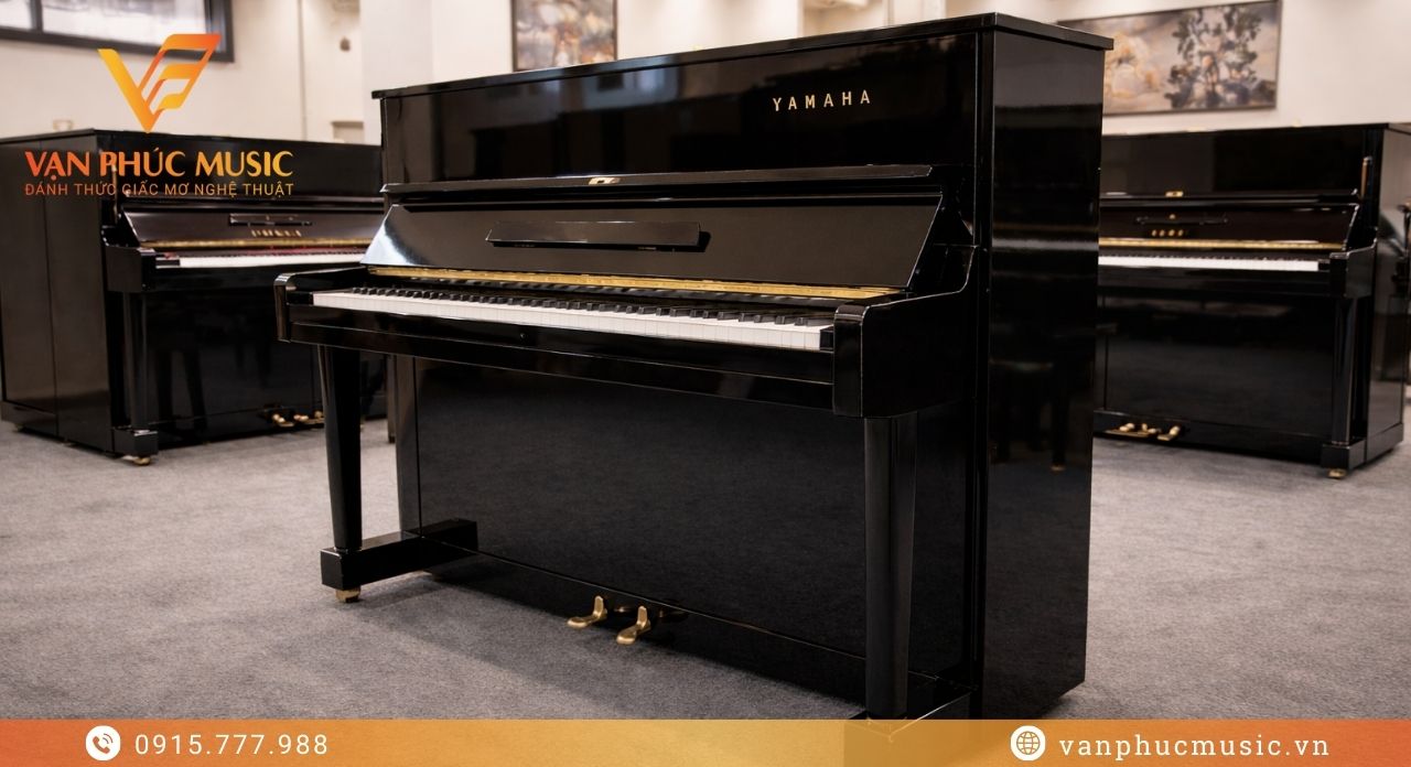 mua Yamaha U1D ở đâu