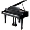 ROLAND RG 3F-PE