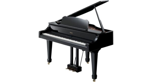 ROLAND RG 3F-PE