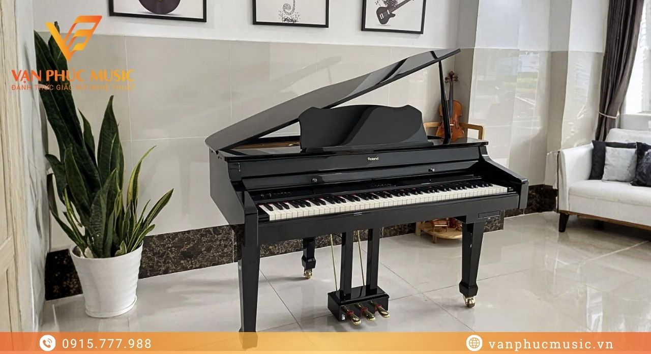 Roland RG 3F-PE Roland RG 3F-PE