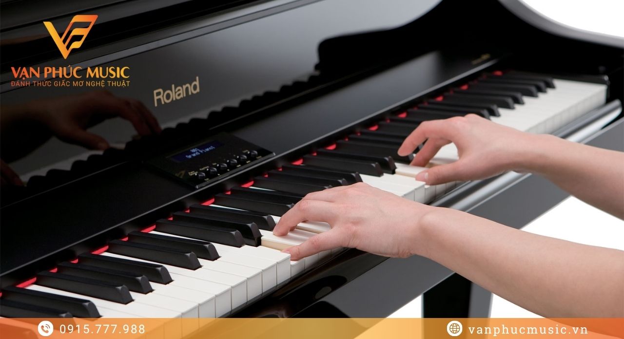 Roland RG 3F-PE Roland RG 3F-PE