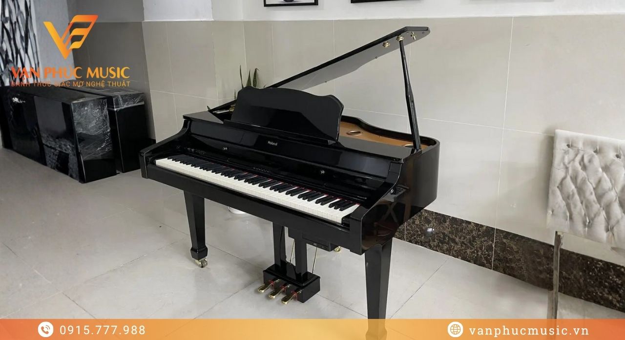 Roland RG 3F-PE Roland RG 3F-PE