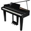 ROLAND GP 3PE