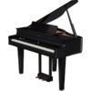 ROLAND GP 6PE