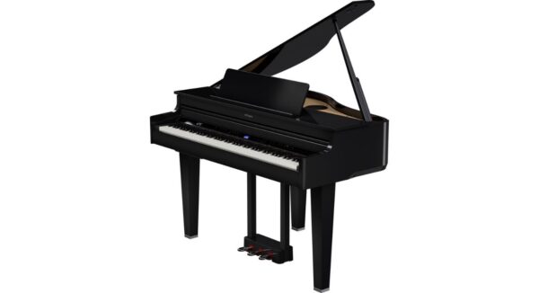 ROLAND GP 6PE