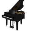 roland gp 9pe