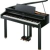 ROLAND RG 1F-SB