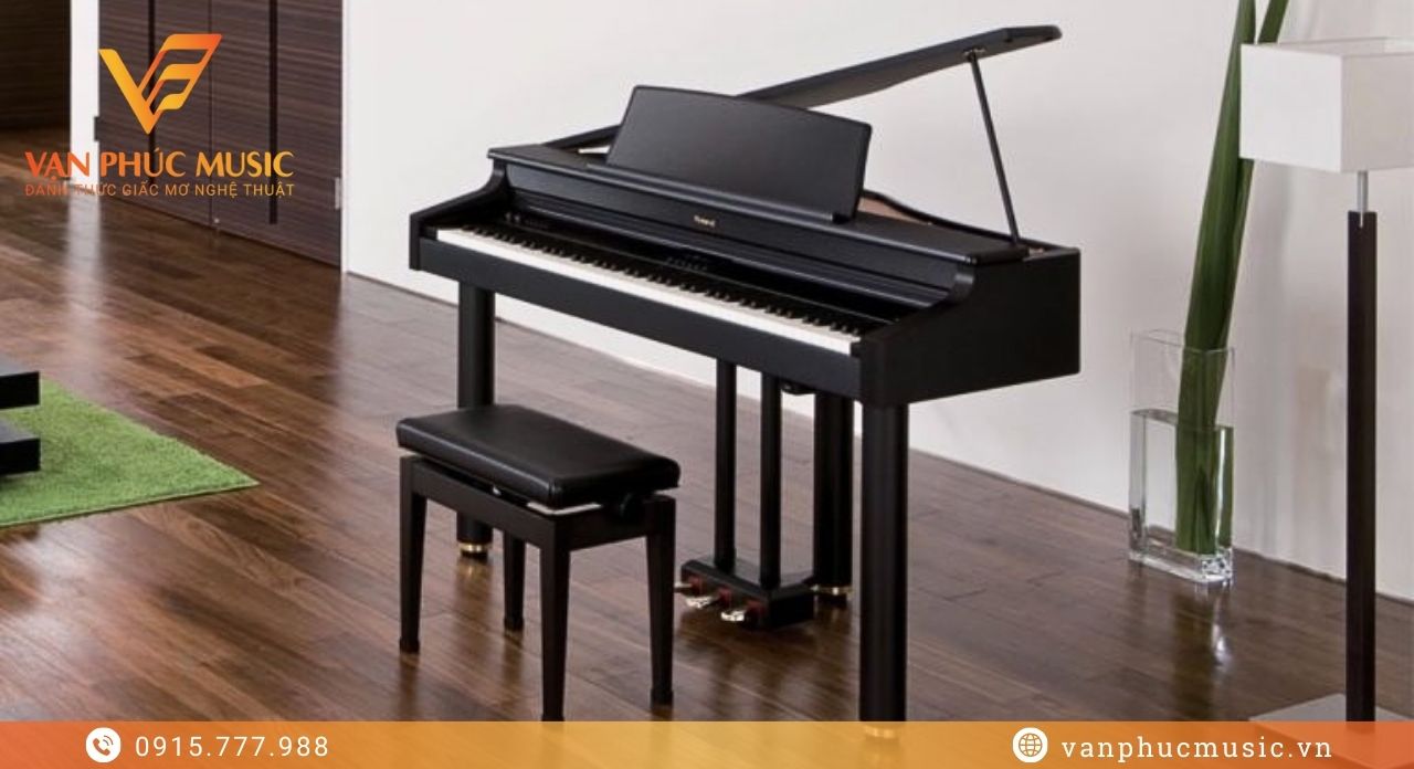 ROLAND RG 1F-SB ROLAND RG 1F-SB