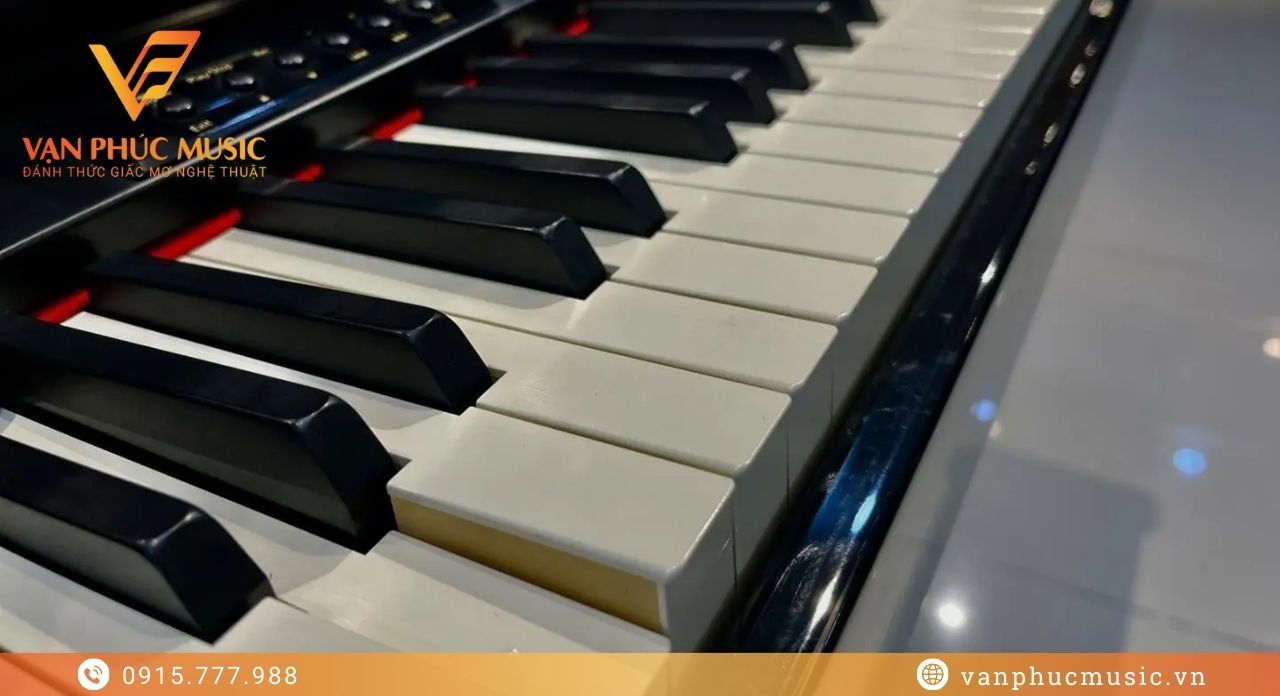 ROLAND RG 1F-SB ROLAND RG 1F-SB