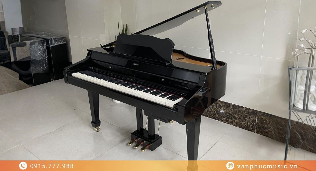 ROLAND RG 1F-SB ROLAND RG 1F-SB