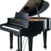 ROLAND RG-7PE