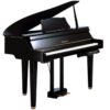 YAMAHA DGP 2XG