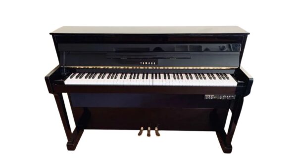 yamaha-dup-22pe