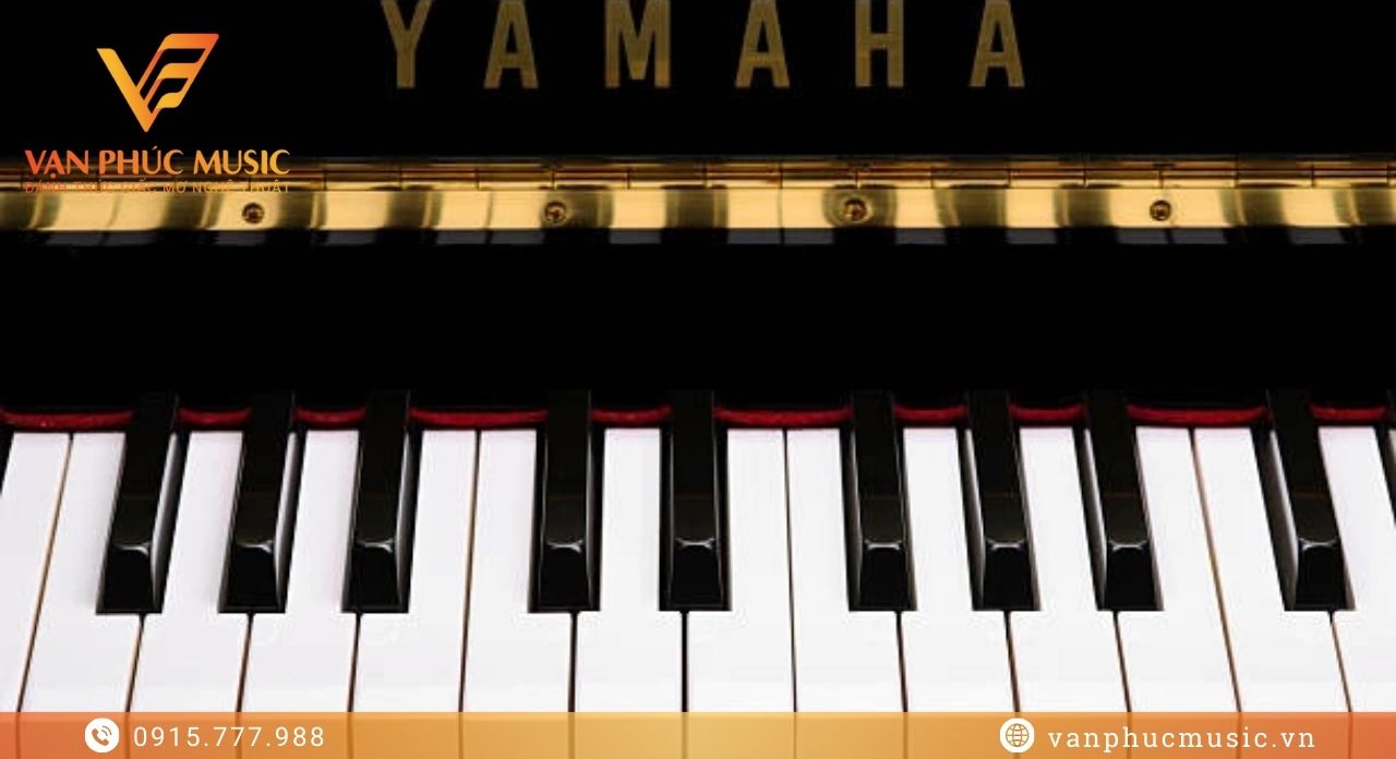 YAMAHA DUP 22PE