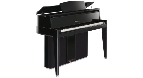YAMAHA N2