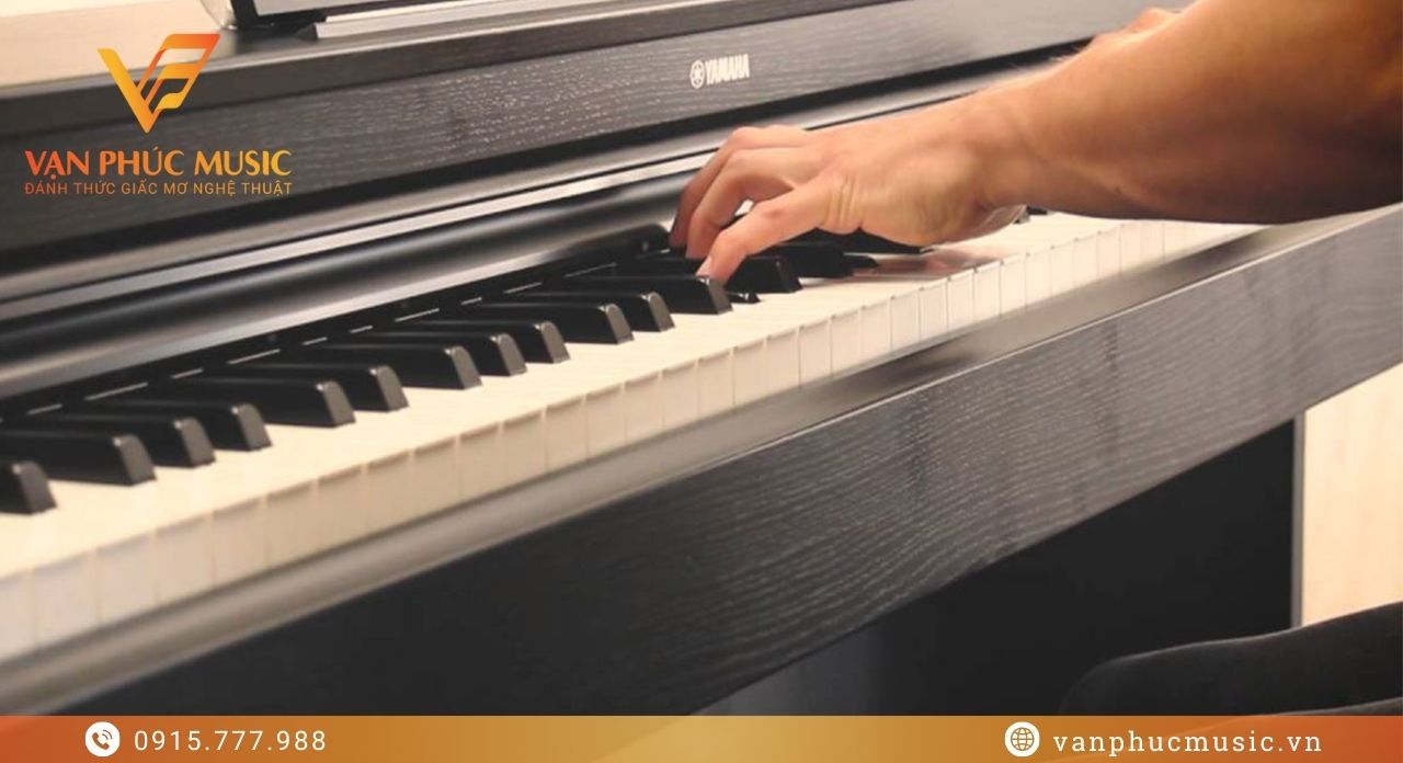 Yamaha YDP S55B Yamaha YDP S55B