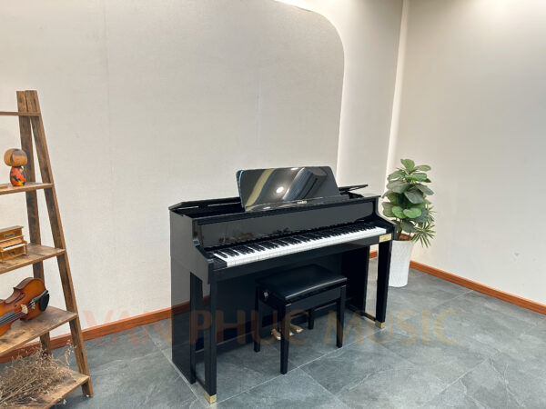 CASIO GP-500