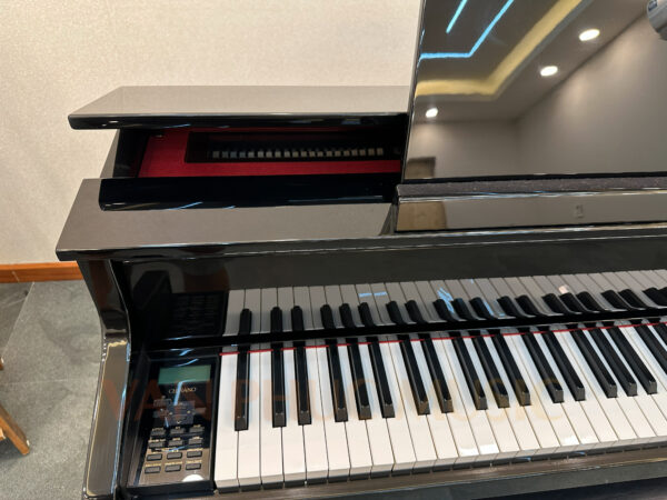 CASIO GP-500