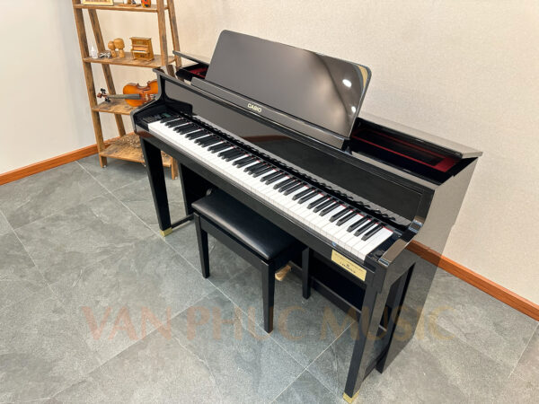 CASIO GP-500