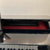 CASIO GP-500