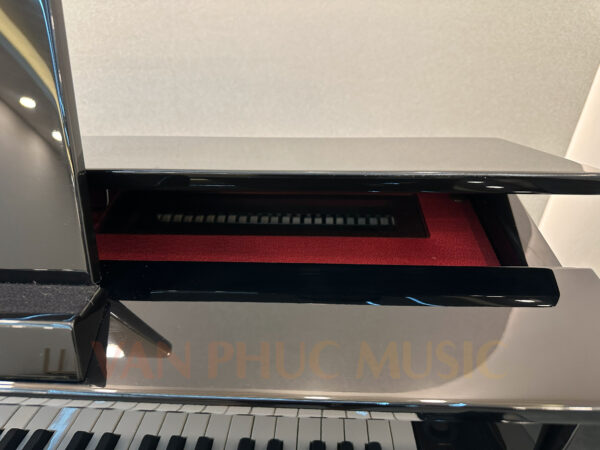 CASIO GP-500