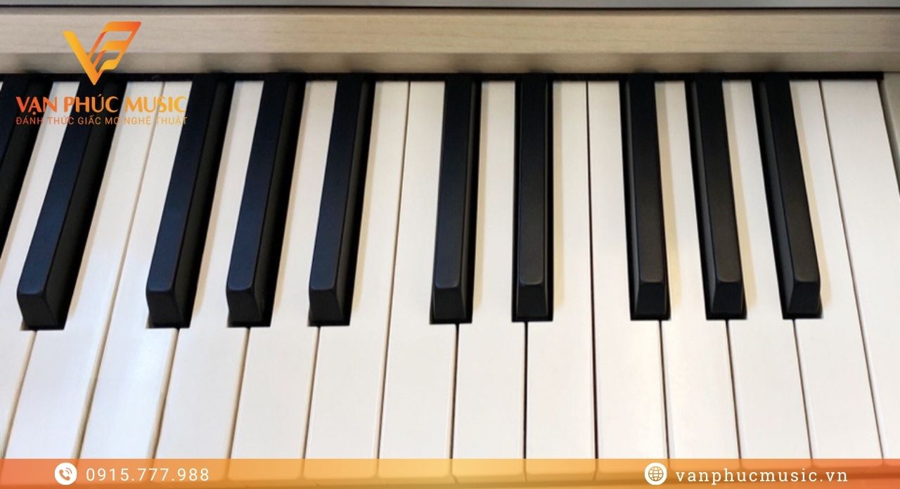Kawai CA 401LO Kawai CA 401LO