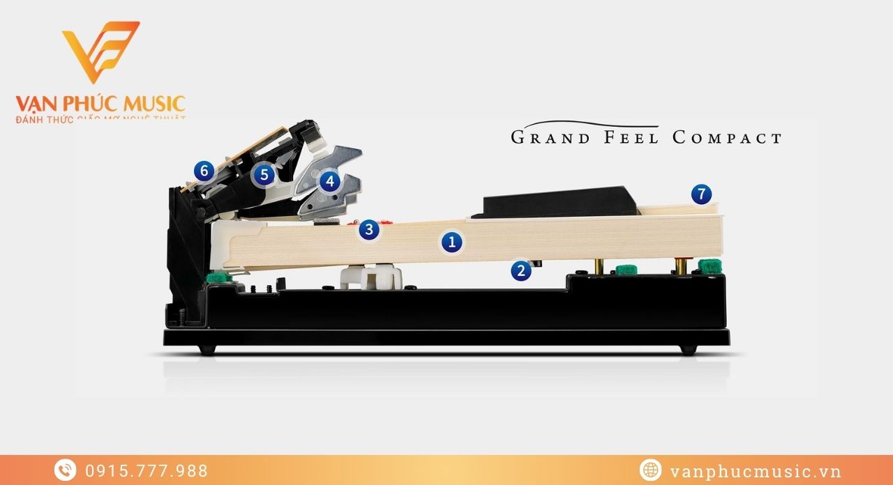 Kawai CA 401WM Kawai CA 401WM