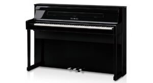 EP - Ebony Polish