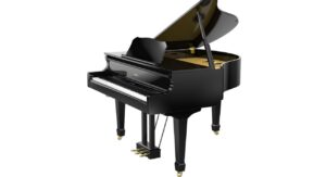 PE - Polished Ebony
