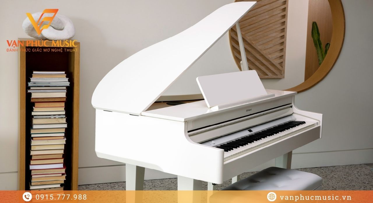 Roland GP 6 Polished White Roland GP 6 Polished White