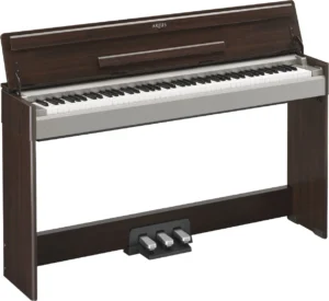 BN - Brown