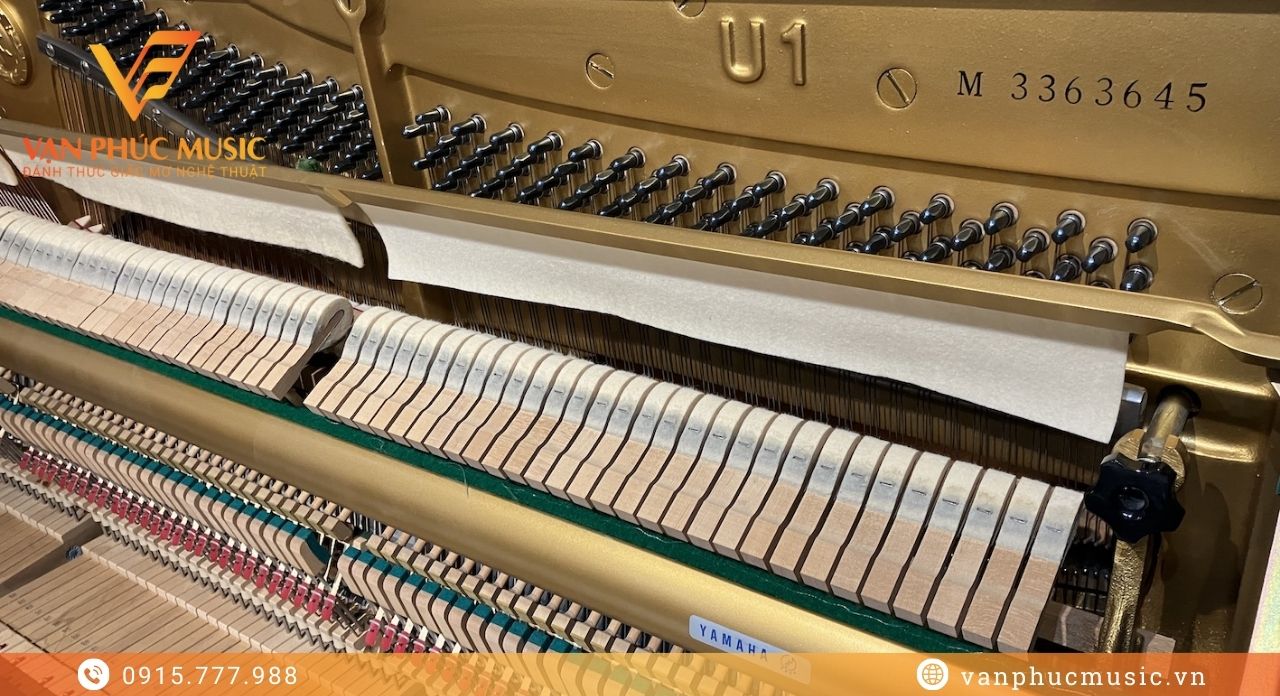 đàn đứng yamaha u1m