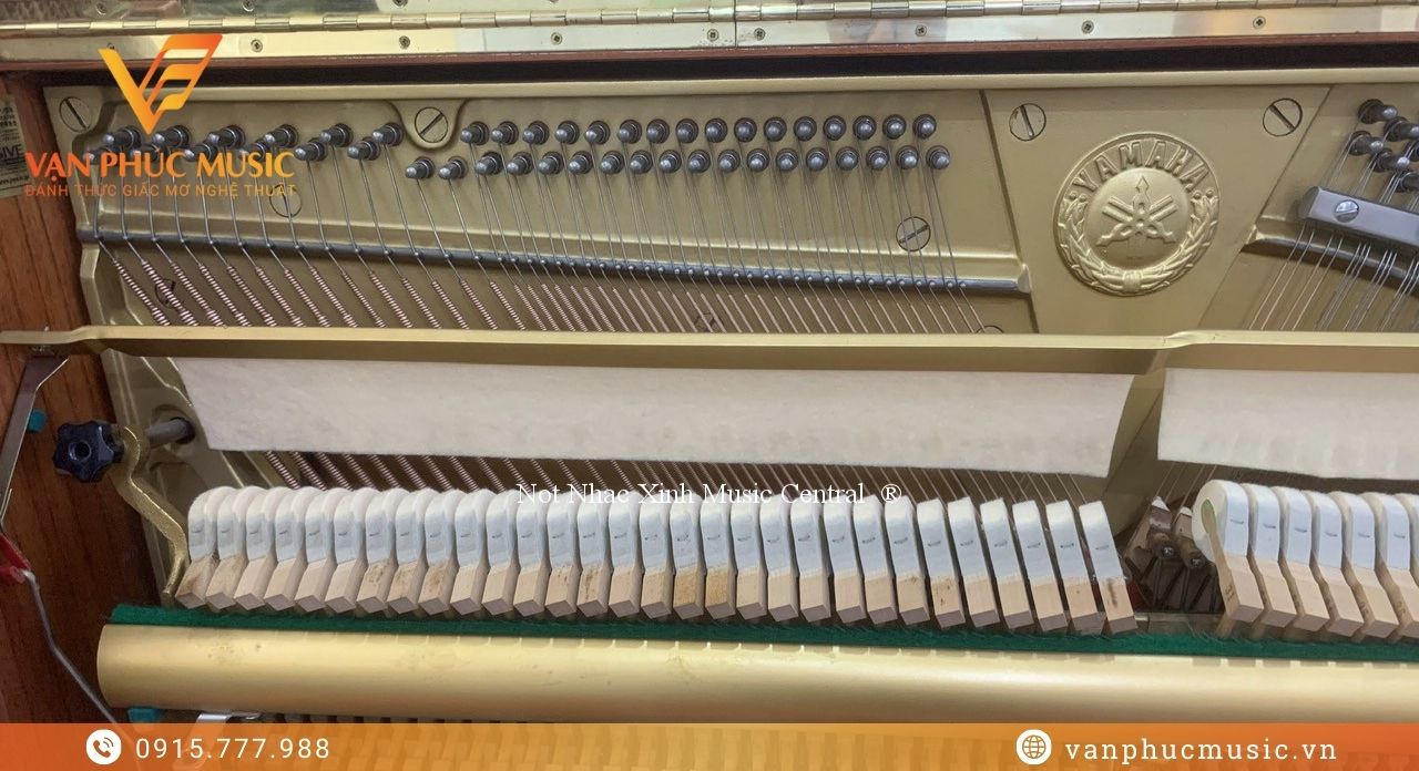 Yamaha W104B Nhật Bản