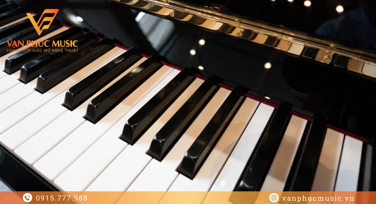 Yamaha YM5SD Yamaha YM5SD