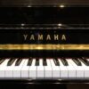YAMAHA YM5SD