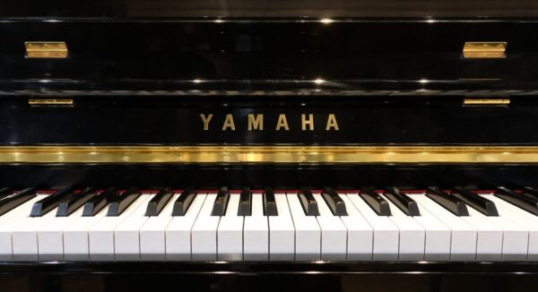 YAMAHA YM5SD