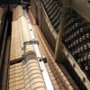 YAMAHA YM5SD