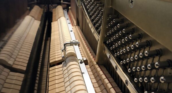 YAMAHA YM5SD