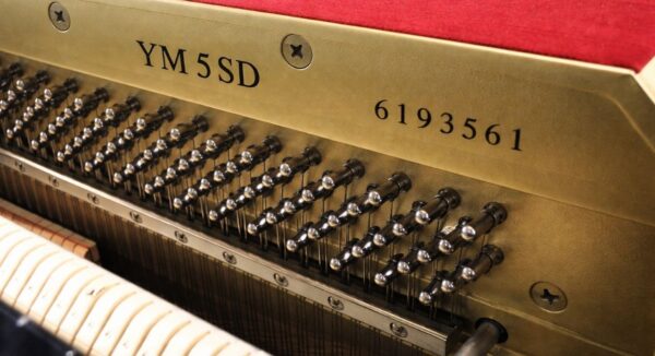 YAMAHA YM5SD