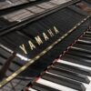 YAMAHA YUX