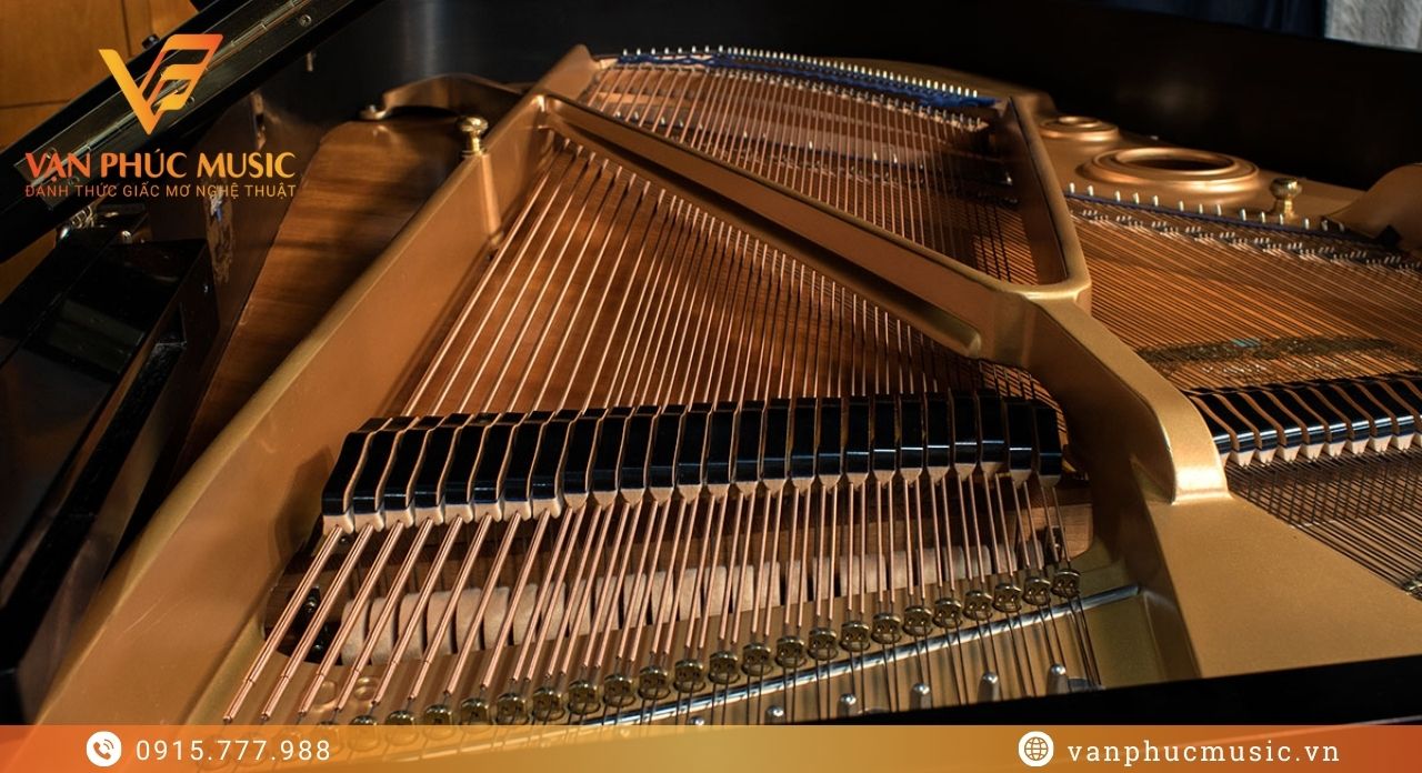 đại dương cầm kawai kg-5d