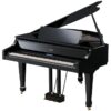 ROLAND GP-7
