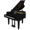 ROLAND GP-9M-PE