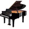 YAMAHA C5